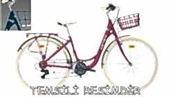 2026 CARRARO JULIET 28 JANT KADIN ŞEHİR VE TUR BİSİKLETİ - CARRARO